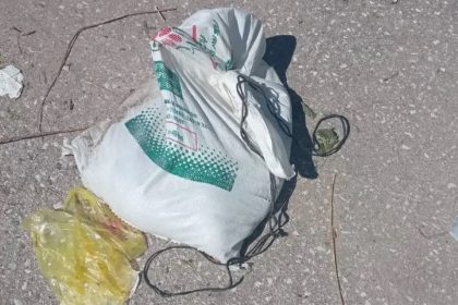 Κτηνωδία: Έπνιξαν και πέταξαν κουτάβια στα σκουπίδια